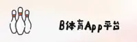 使用指南与常见问题
